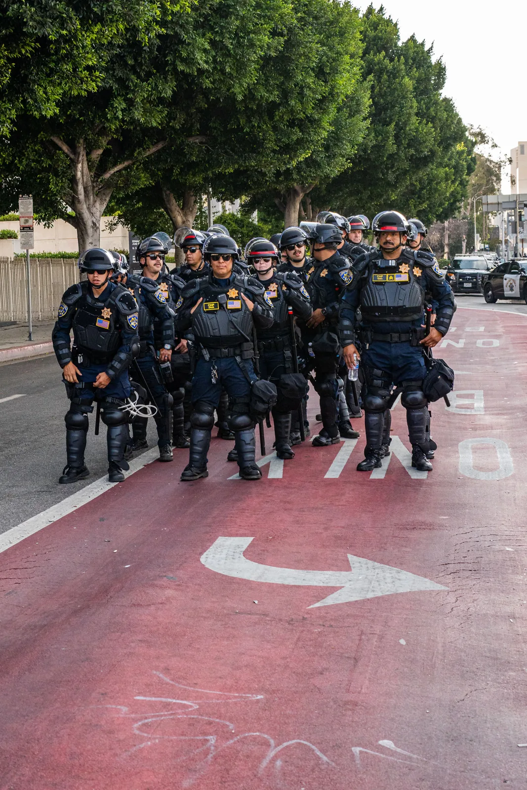 LA Protests, frame 3